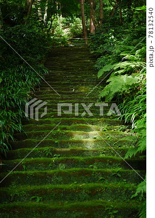 鎌倉 妙法寺 苔寺 の写真素材