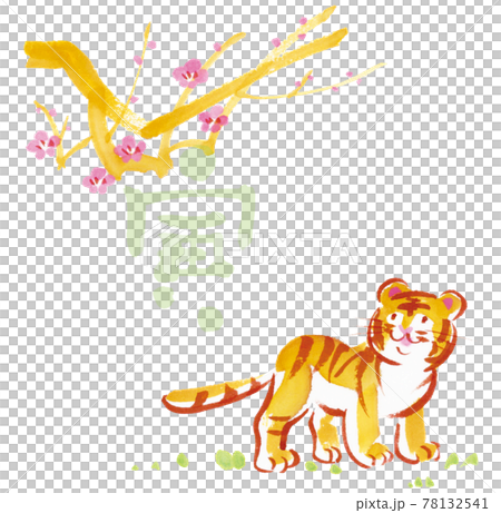 Tora year watercolor New Year's card illustration One child tiger looking up at the plum tree Tora with zodiac characters Tora year watercolor New Year's card illustration One child tiger looking up at the plum tree Tora with zodiac characters 78132541
