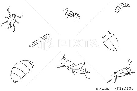 食用可の昆虫 壁紙背景イラストのイラスト素材