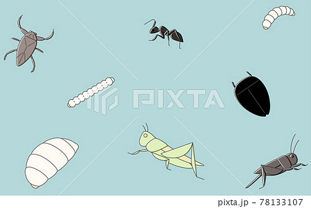 食用可の昆虫 壁紙背景イラストのイラスト素材 食用可の昆虫 壁紙背景イラストのイラスト素材