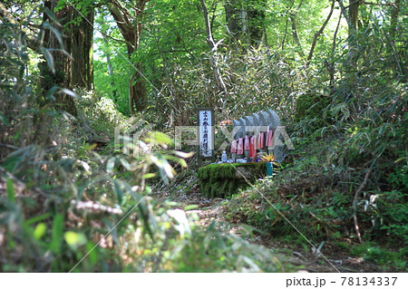 金剛山（六地蔵） 78134337