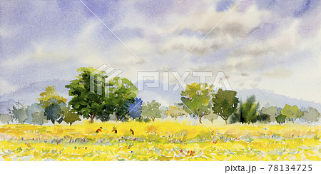 Natural beauty ricefield trees and farm forest. 78134725