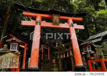 京都・伏見稲荷大社 京都・伏見稲荷大社 78134936