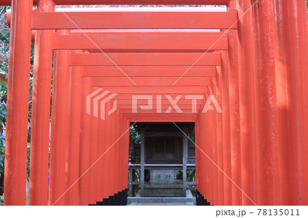 法多山尊永寺内 二葉神社 女性の守り神 法多山尊永寺内 二葉神社 女性の守り神 78135011