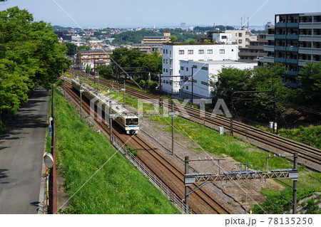 5月 多摩305小田急多摩線と多摩ニュータウン 5月 多摩305小田急多摩線と多摩ニュータウン 78135250