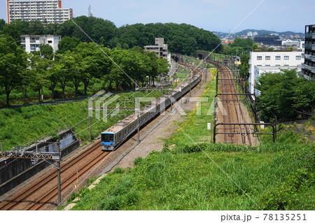 5月 多摩304小田急多摩線と多摩ニュータウン 5月 多摩304小田急多摩線と多摩ニュータウン 78135251