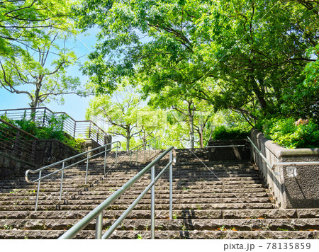 郊外の住宅地 公園に続く石段と新緑の木々 郊外の住宅地 公園に続く石段と新緑の木々 78135859