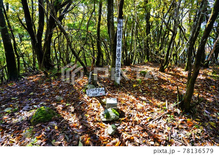 伯母子岳の口千丈山の山頂標識と三角点 78136579