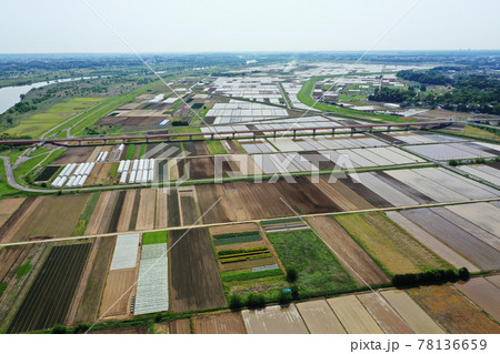 田植えの前の田園風景 78136659