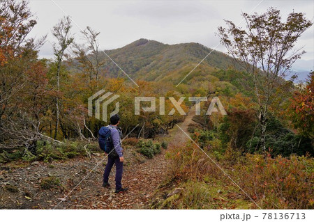伯母子岳への稜線を眺める登山者 伯母子岳への稜線を眺める登山者 78136713