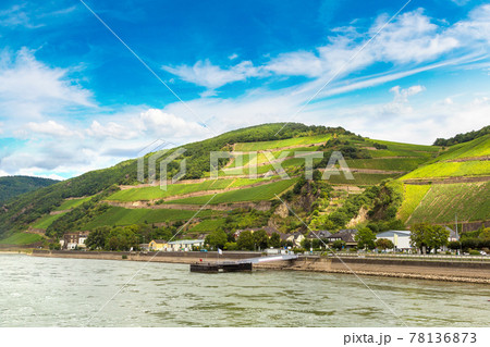 Romantic Rhine valley in Germany Romantic Rhine valley in Germany 78136873