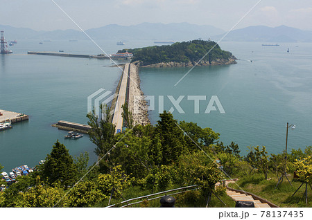 麗水 スポット 梧桐島 78137435