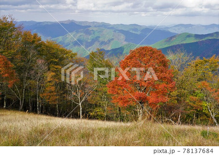 伯母子岳山頂の紅葉と北方面の山並み 伯母子岳山頂の紅葉と北方面の山並み 78137684