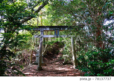 奥多摩　御前山　愛宕神社　鳥居 78137737