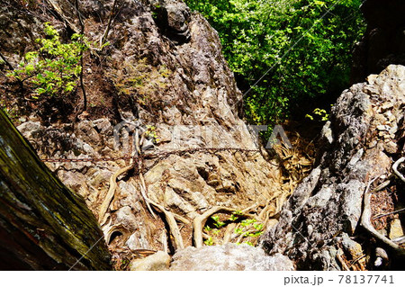 奥多摩　御前山　鋸尾根の鎖場 78137741