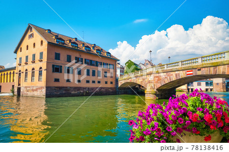 Flowers in Strasbourg 78138416