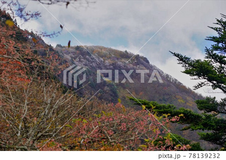 霧氷のまとわりつく山上ヶ岳 霧氷のまとわりつく山上ヶ岳 78139232