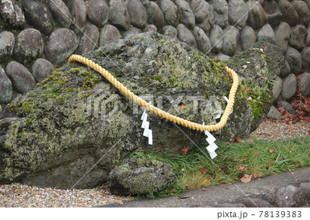 法多山尊永寺内の亀 法多山尊永寺内の亀 78139383