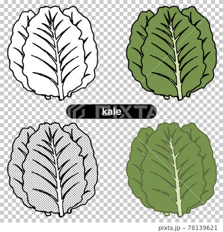 ケール01-線画_カラー 78139621