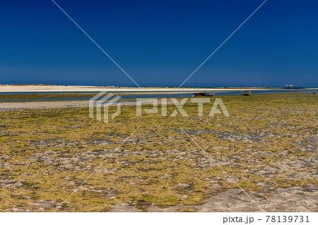 View of boats in the bay at low tide on the beach in the Mediterranean Sea on the island of Djerba, Tunisia 78139731