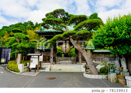 鎌倉・長谷寺 山門 鎌倉・長谷寺 山門 78139913
