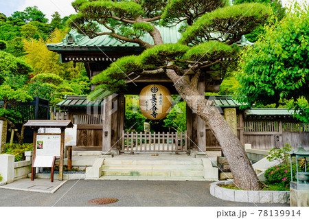 鎌倉・長谷寺 山門 鎌倉・長谷寺 山門 78139914