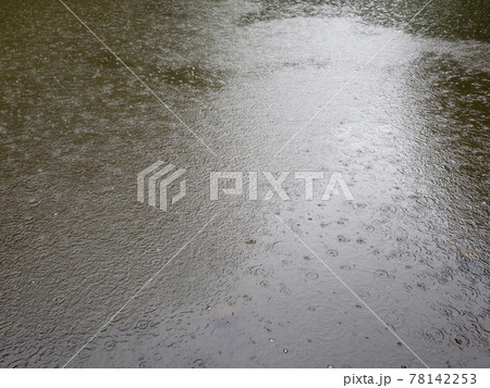 本降りの雨が打ち付ける池の水面 78142253