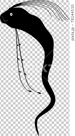 Oarfish - Stock Illustration [78144510] - PIXTA