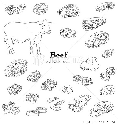 牛肉のイラストセット 手描きの線画のイラスト素材 牛肉のイラストセット 手描きの線画のイラスト素材
