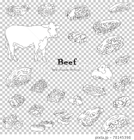 牛肉のイラストセット-手描きの線画 牛肉のイラストセット-手描きの線画 78145398