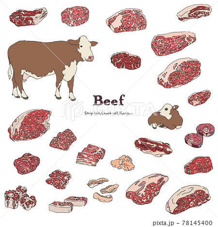 牛肉のイラストセット 手描きの線画のイラスト素材