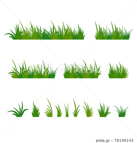 Set of green tufts grass Set of green tufts grass 78146143