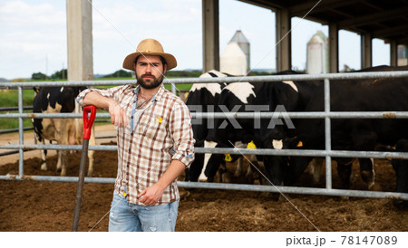 Man farmer standing near cow on background at farm outdoor 78147089