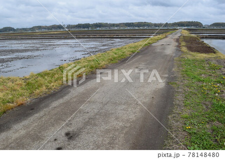 舗装された農道と田園風景 78148480