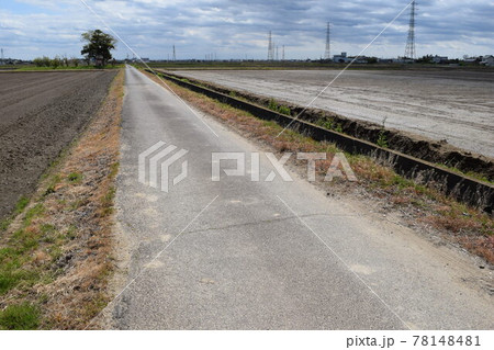 舗装された農道と田園風景 78148481