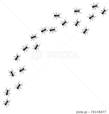 Ant vector trail marching illustration. Ant bug pest control background teamwork Ant vector trail marching illustration. Ant bug pest control background teamwork 78148877