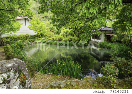 成羽陣屋　回遊式書院庭園跡　蓮池　岡山県高梁市 78149231