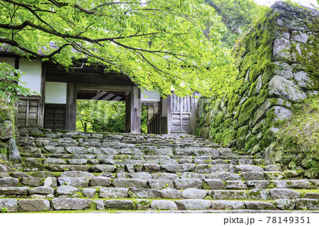 新緑が美しい秋月城跡 長屋門 新緑が美しい秋月城跡 長屋門 78149351