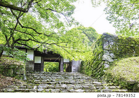 新緑が美しい秋月城跡 長屋門 新緑が美しい秋月城跡 長屋門 78149352