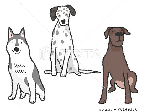 犬 大型犬のイラスト素材