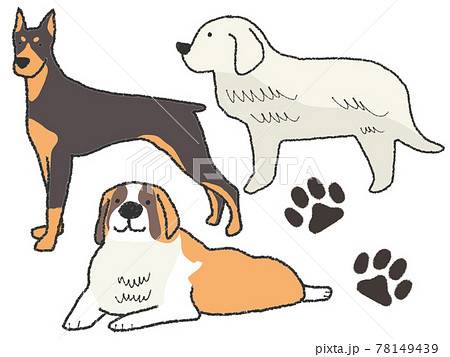 犬 大型犬 犬 大型犬 78149439