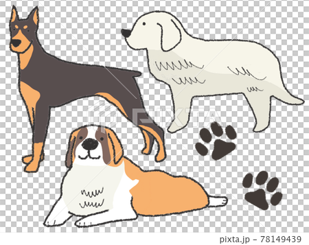 犬 大型犬 犬 大型犬 78149439