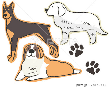 犬　大型犬 78149440