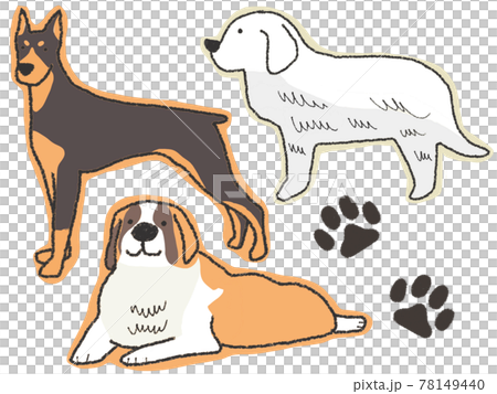 犬　大型犬 78149440
