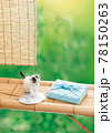 夏のイメージ_縁台と猫と風呂敷 78150263
