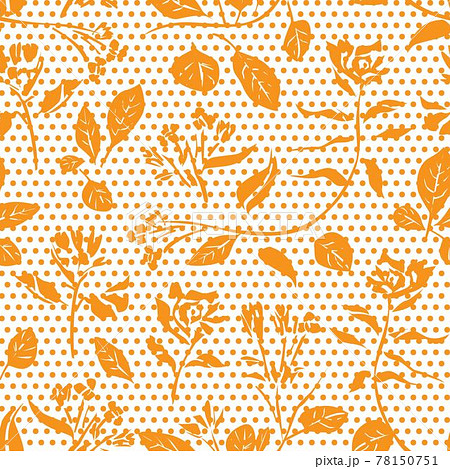 Orange Botanical Floral Seamless Pattern Background Orange Botanical Floral Seamless Pattern Background 78150751