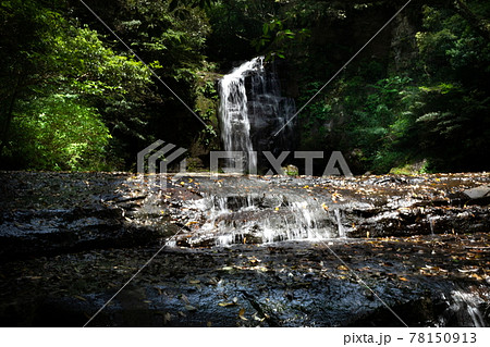 新緑と枯葉を運ぶ清水を作り出す五重の滝 78150913