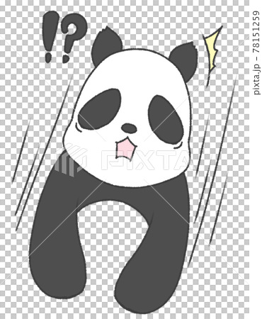驚くパンダ 驚くパンダ 78151259