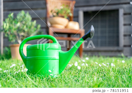 Plastic watering can on grass lawn on backyard outdoors near home plants in pot 78151951