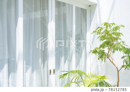 ベランダの植物と白いカーテン 78152785